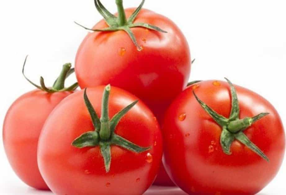 Pomidor - 