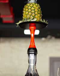 Ananas Sadə - Ananas Sadə