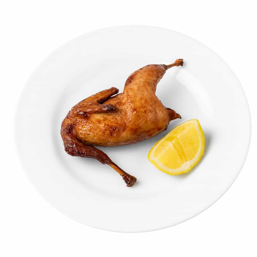 Bildirçin - 