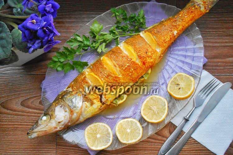 Sudak - .