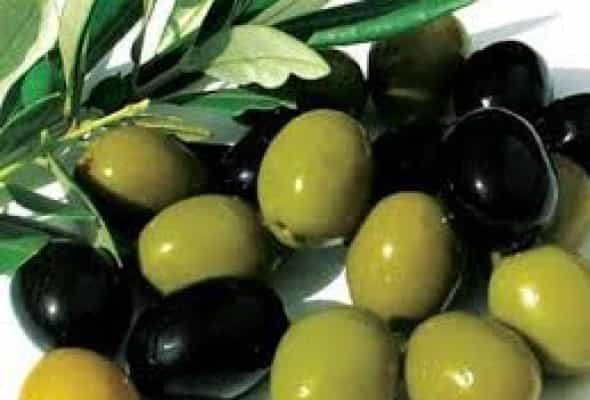 Zeytun assarti 200 qr - 