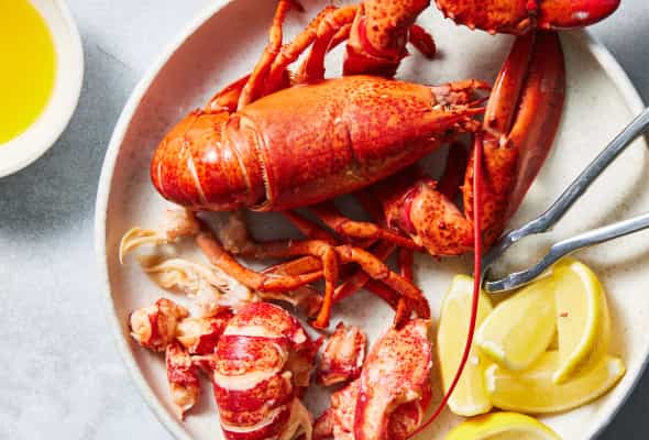 Lobster 500 qr - 