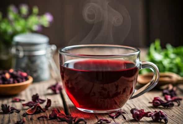 Red Fruit Flash Tea - Hibiscus, itburnu, qarağat, çiyələk