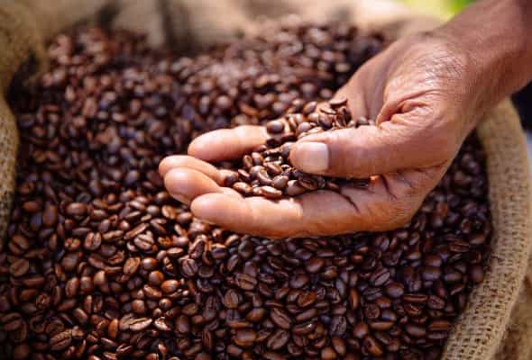 Ethiopia 100 gr - cacao,black tea,flowers