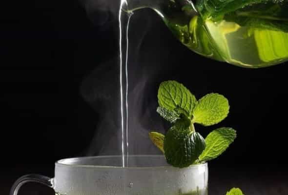 GREEN TEA - Yaşıl çay
